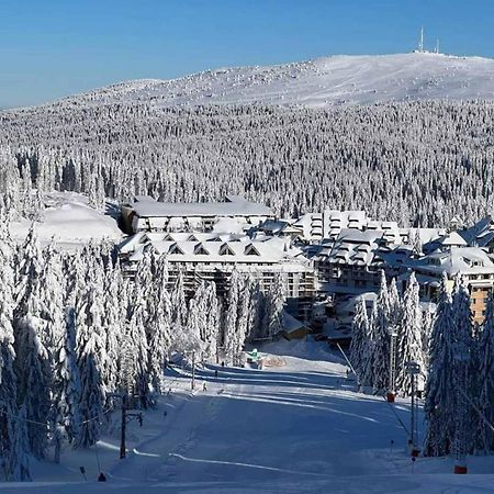 Woodside Kopaonik Apartman Kültér fotó